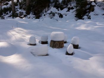 Snow covered field against sky