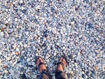 Low section of person standing on pebbles at beach