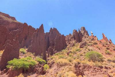 Trees and rocks against clear blue sky