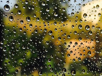 Close-up of water drops on glass