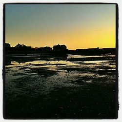 View of trees against clear sky at sunset