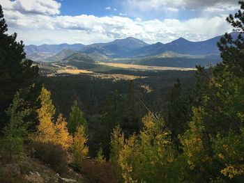 Scenic view of forest against sky during sunset