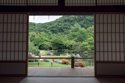 Trees and plants in garden seen through window