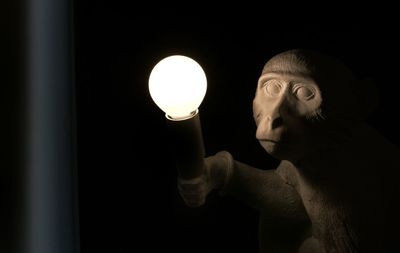 Portrait of man holding light bulb