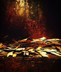 leaf