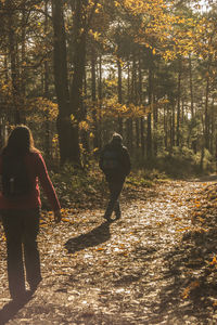 Rear view of people walking on footpath in forest