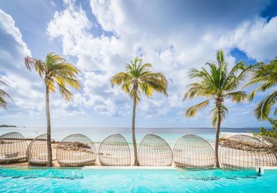 Palm trees on beach against sky