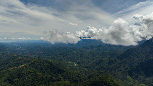 environment