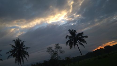 Low angle view of silhouette trees against sky during sunset