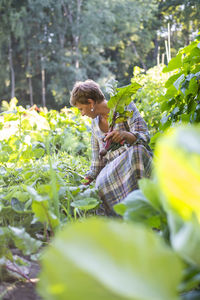 Rear view of woman standing amidst plants