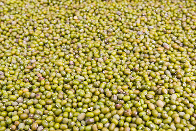 Full frame shot of green beans