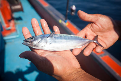 Cropped image of hand holding fish