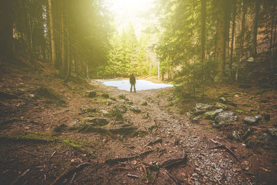 Man hiker thinking in the forest in mountain - time to disconnect concept