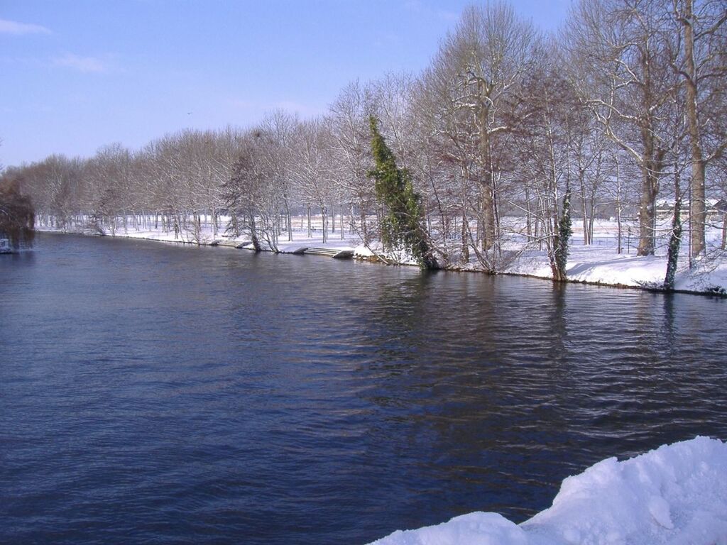 snow, winter, cold temperature, season, tree, tranquil scene, frozen, water, tranquility, beauty in nature, weather, scenics, nature, lake, covering, bare tree, waterfront, white color, river, sky