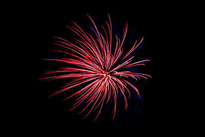 Low angle view of firework display at night