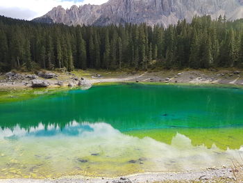 Reflection of trees in lake