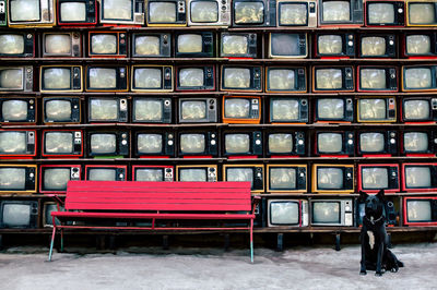 Dog sitting by bench against television sets in store