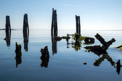 Wooden posts in sea against sky