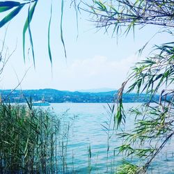 Scenic shot of calm lake