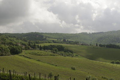 Scenic view of agricultural field against sky