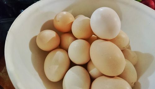 Close-up of eggs in plate