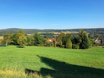 Scenic view of field against clear sky