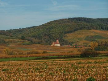 Scenic view of agricultural field against sky