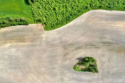 Green island in a recently plowed field