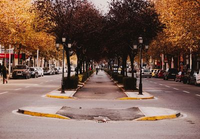 Road amidst trees in city during autumn