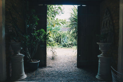 Potted plants outside house