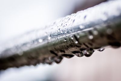 Close-up of water drop on snow