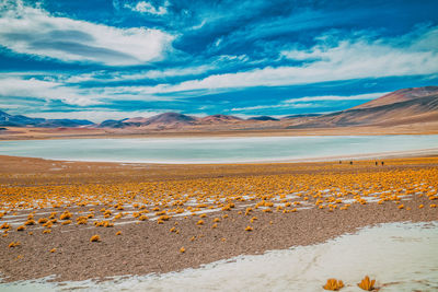 Scenic view of desert against sky