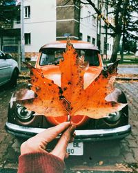 Person holding autumn leaf in city