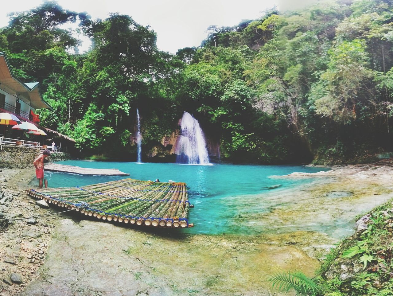 water, tree, scenics, motion, beauty in nature, nature, rock - object, flowing water, waterfall, day, tranquility, forest, flowing, tranquil scene, outdoors, surf, idyllic, no people, travel destinations, non-urban scene