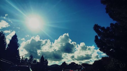 Low angle view of silhouette trees against sky