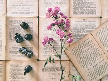 Close-up of pink wild roses and chess pawns on vintage open books 