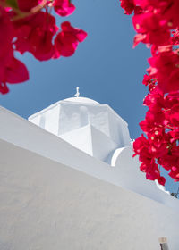 Beautiful whitewashed greek orthodox church on the greek islands.