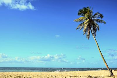Scenic view of beach against cloudy sky