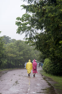 Rear view of friends wearing raincoat walking at bijarim forest during rainy season