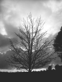 Low angle view of bare tree against cloudy sky