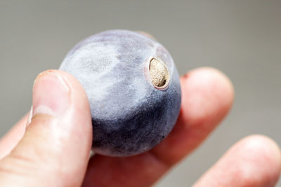 Extreme close-up of person hand holding fruit