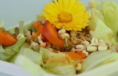 Close-up of food in plate