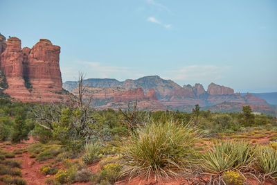 View of rock formations