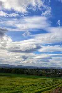 Scenic view of agricultural field against sky