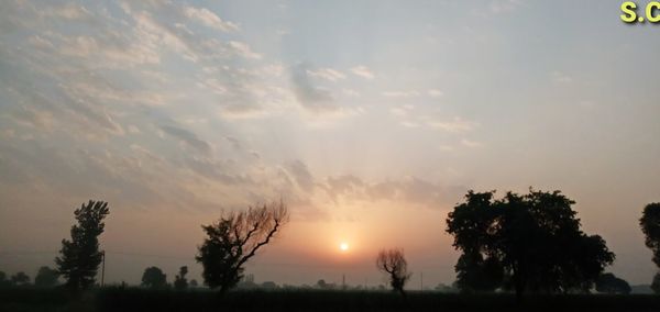 Silhouette trees on field against sky at sunset