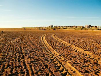 Scenic view of agricultural field against clear blue sky