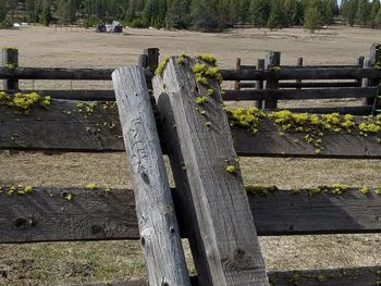 Wooden bench in park