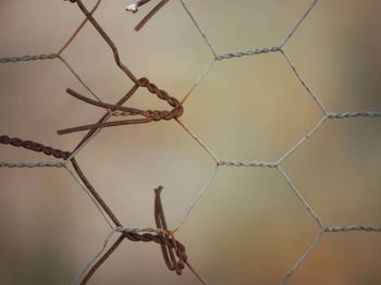 Close-up of barbed wire fence