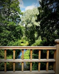 View of trees against sky