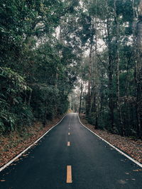 Empty road amidst trees in forest